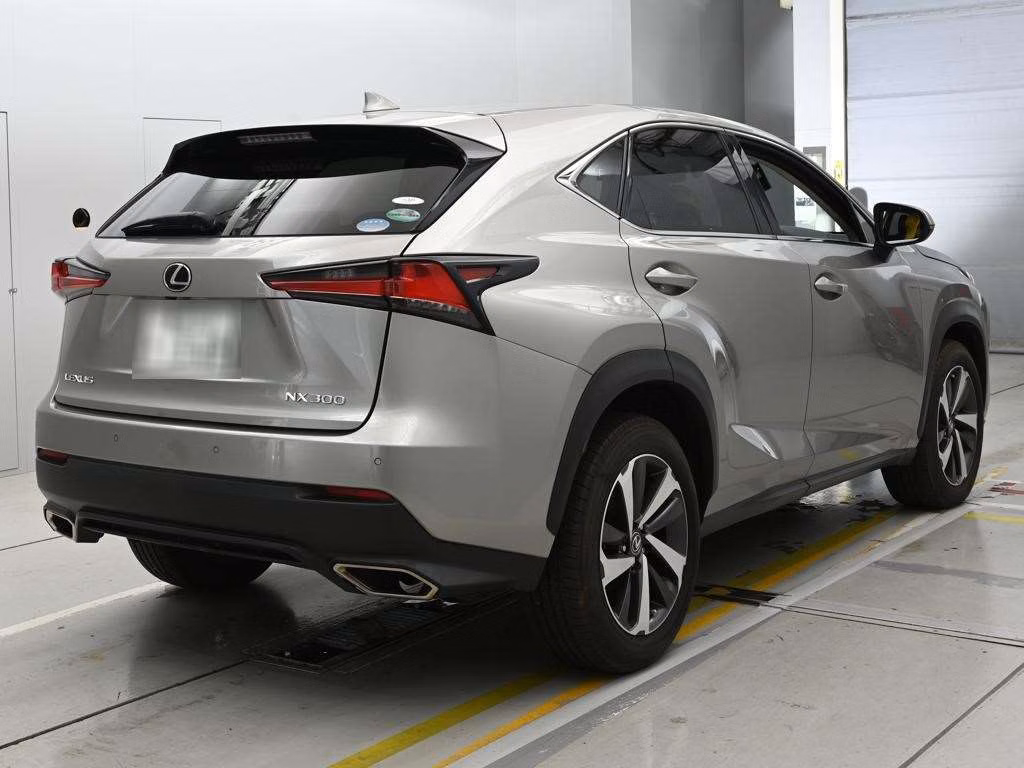 LEXUS NX300