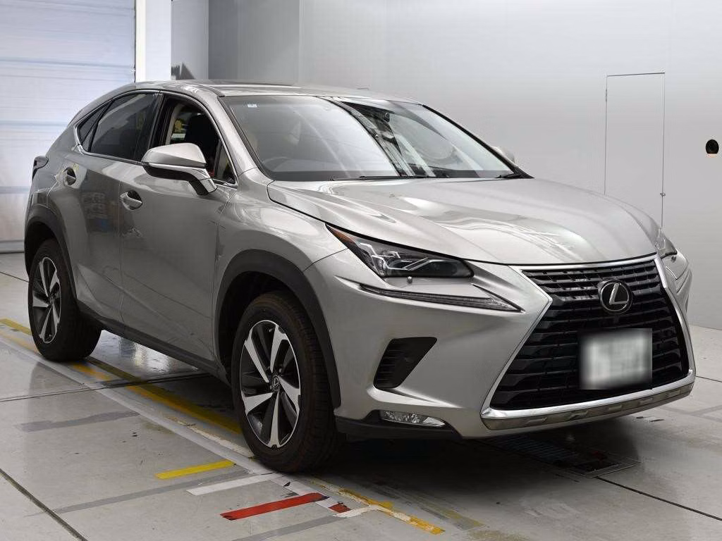 LEXUS NX300