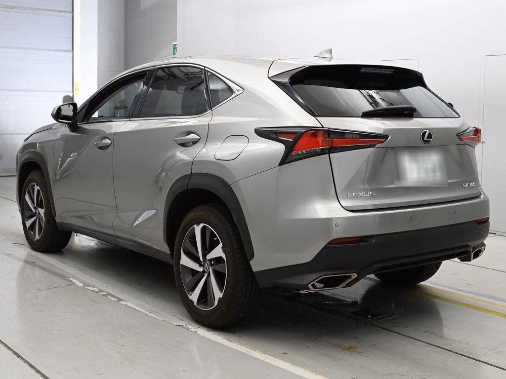 LEXUS NX300