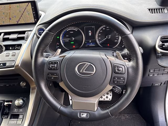LEXUS NX300