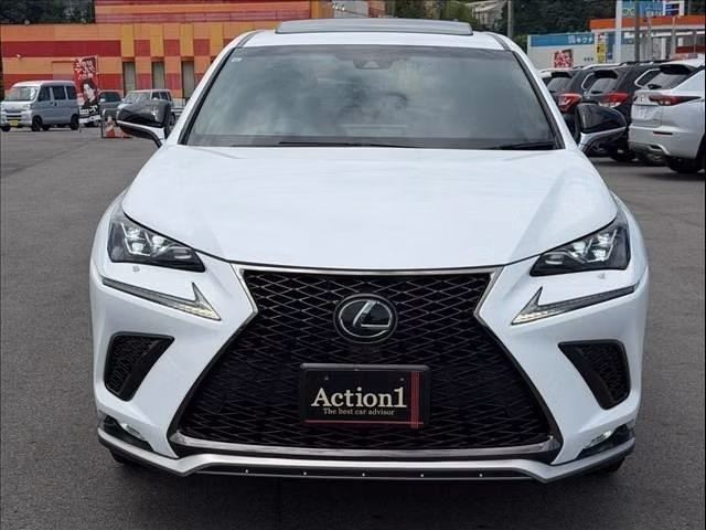 LEXUS NX300