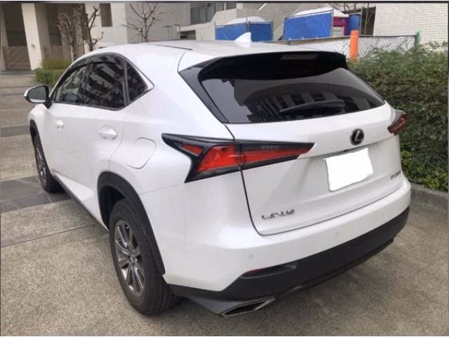 LEXUS NX300