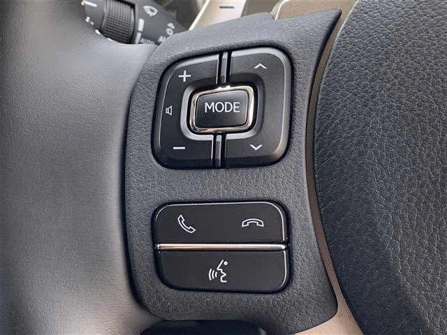 LEXUS NX300
