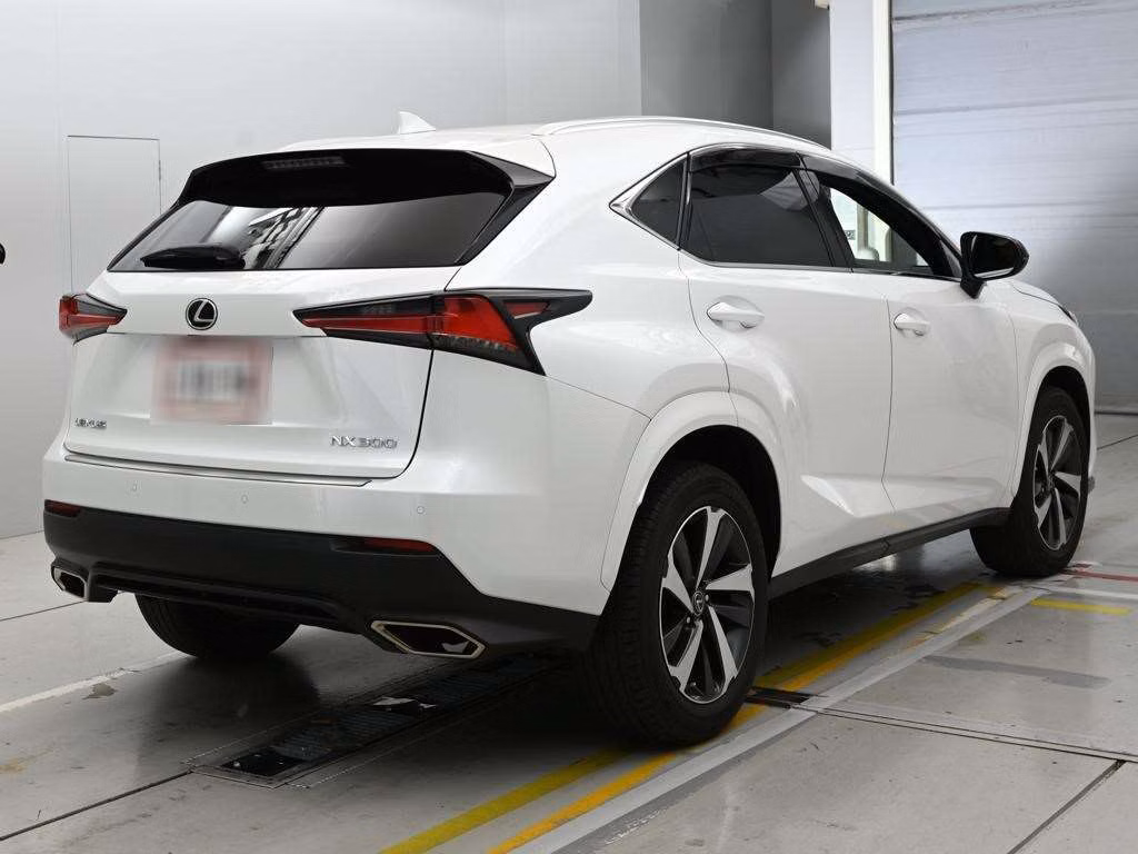 LEXUS NX300