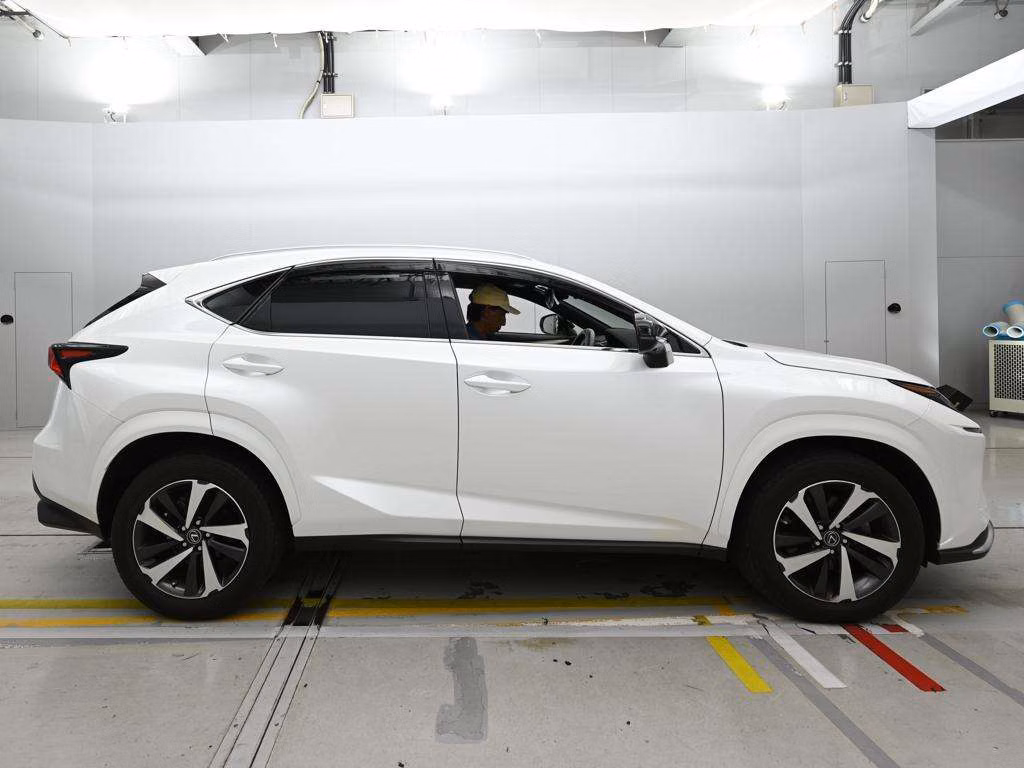 LEXUS NX300