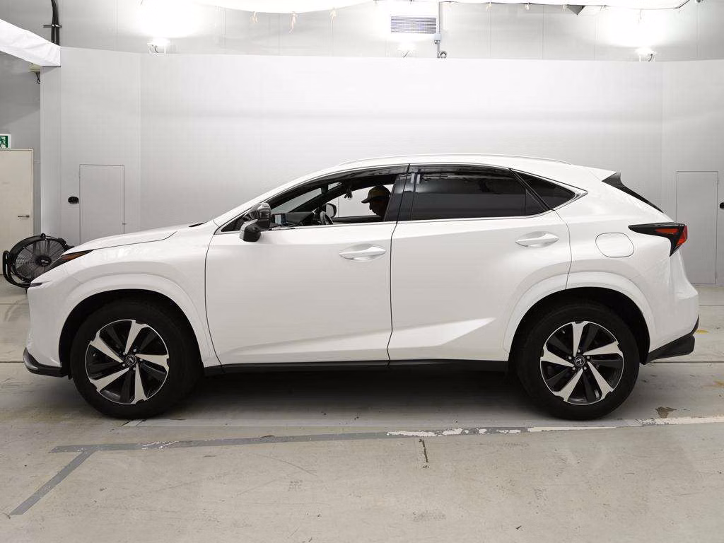 LEXUS NX300