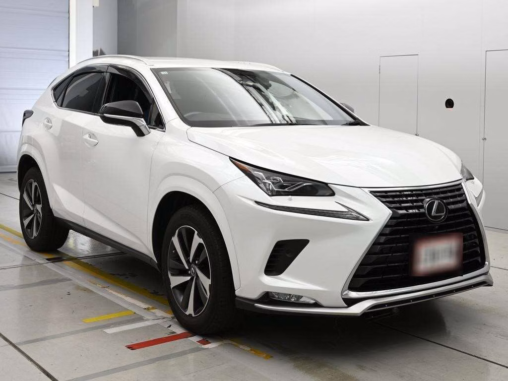 LEXUS NX300