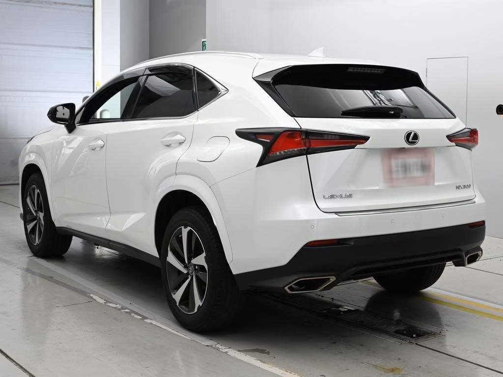 LEXUS NX300