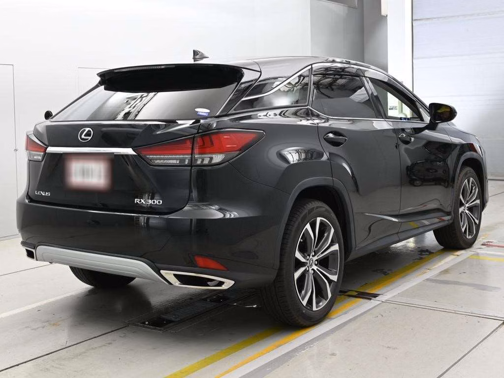 LEXUS RX300