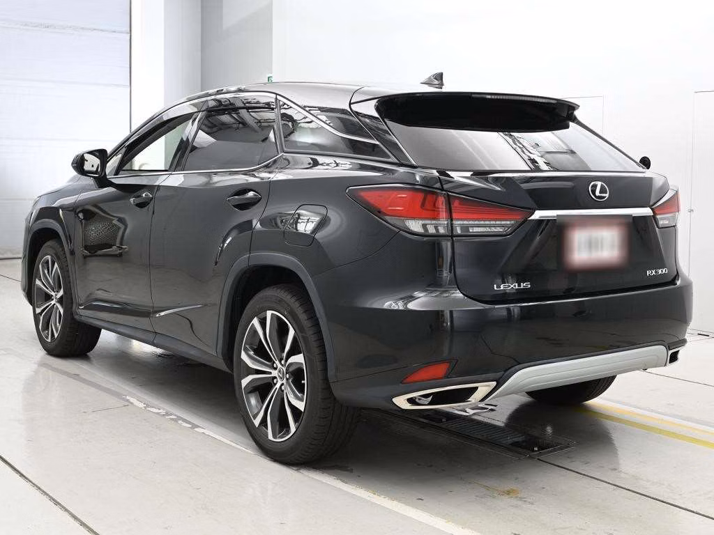 LEXUS RX300