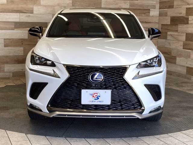 LEXUS NX300H