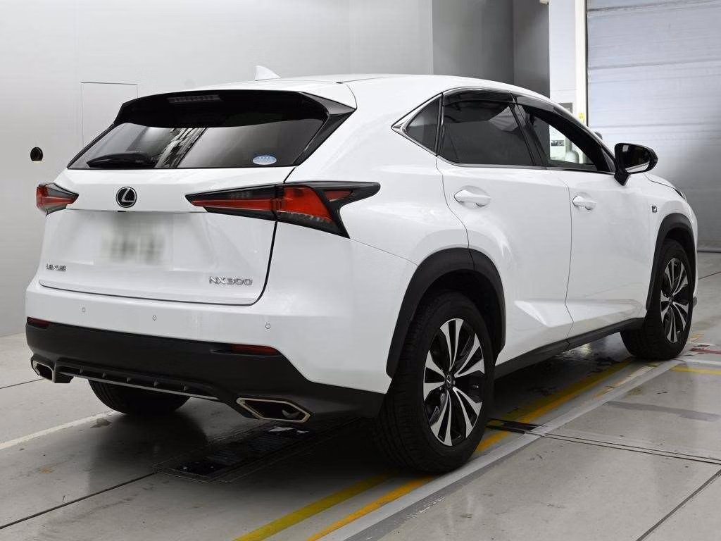 LEXUS NX300