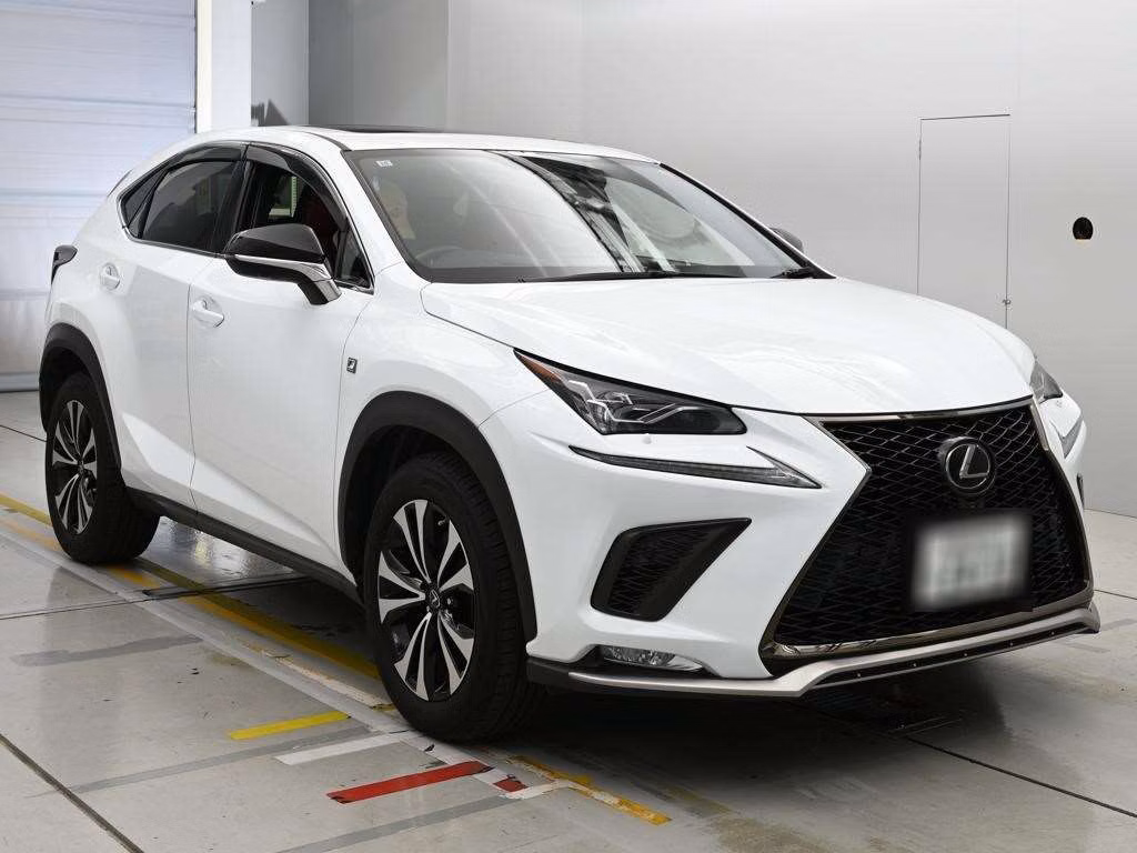 LEXUS NX300