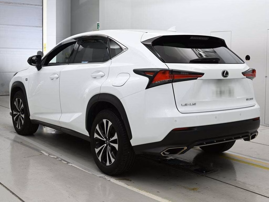 LEXUS NX300