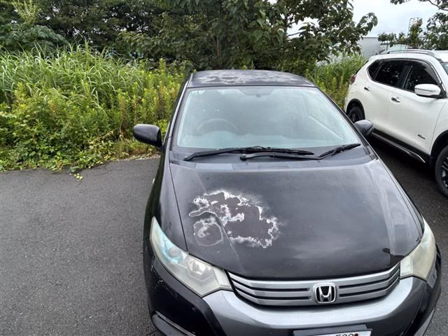 HONDA INSIGHT