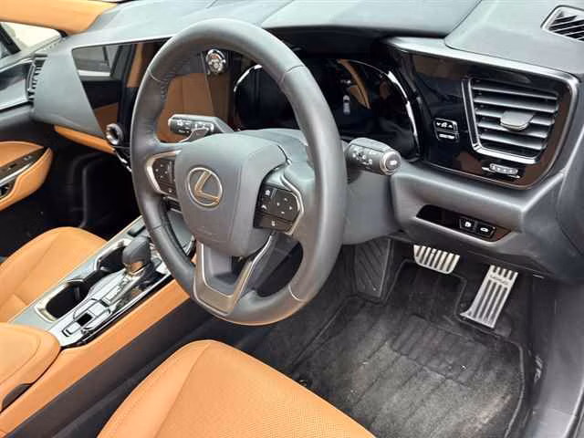 LEXUS NX350H