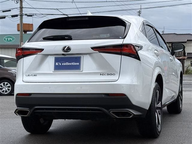 LEXUS NX300