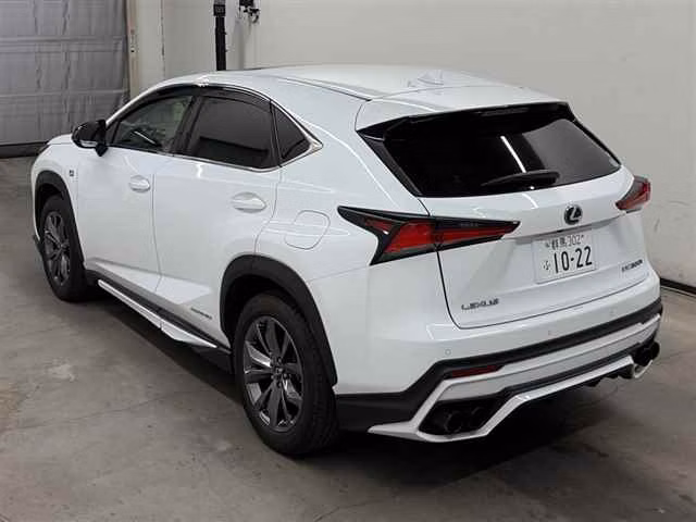 LEXUS NX300