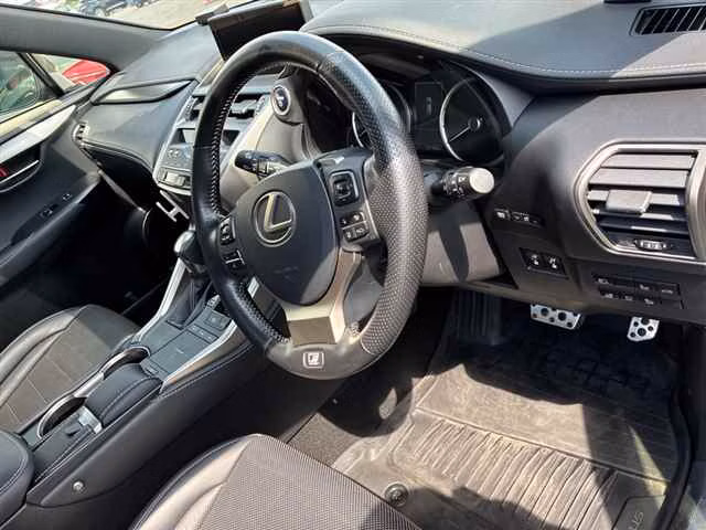 LEXUS NX300