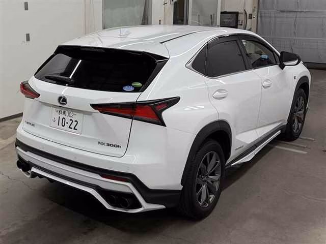 LEXUS NX300