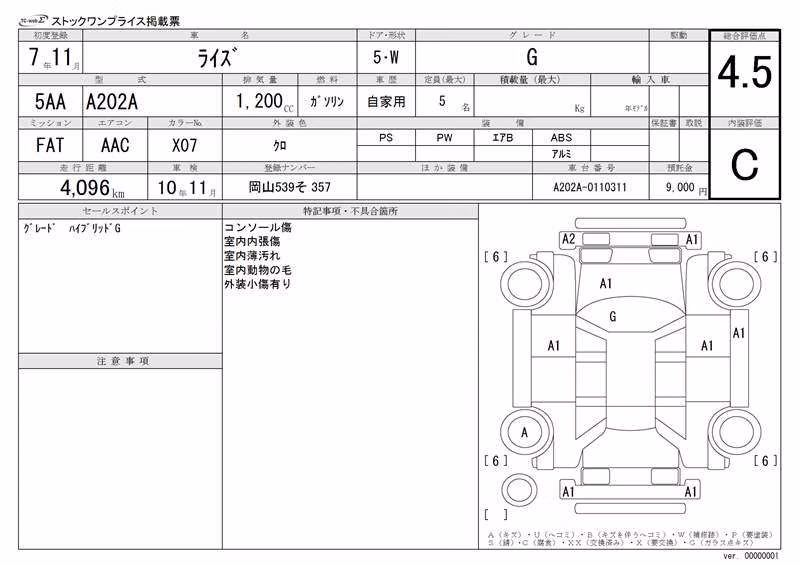TOYOTA RAIZE