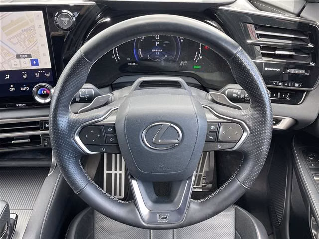 LEXUS RX500H