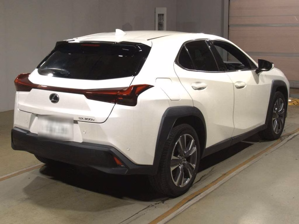 LEXUS UX300E