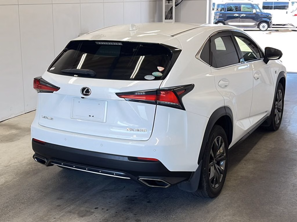 LEXUS NX300