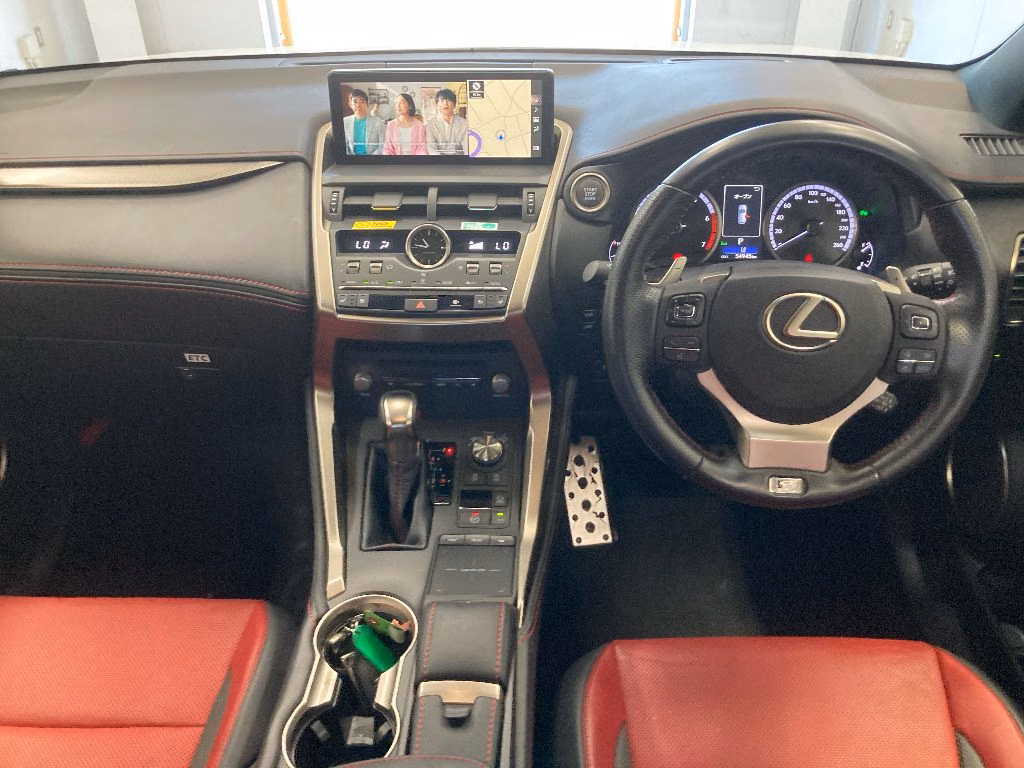 LEXUS NX300
