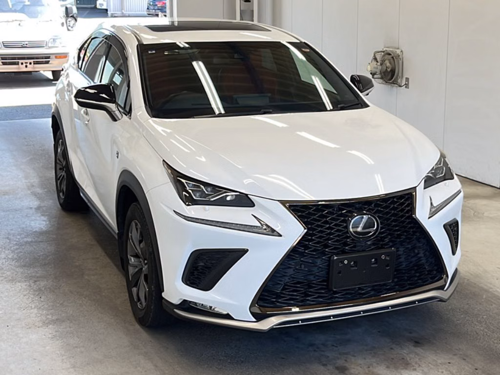 LEXUS NX300