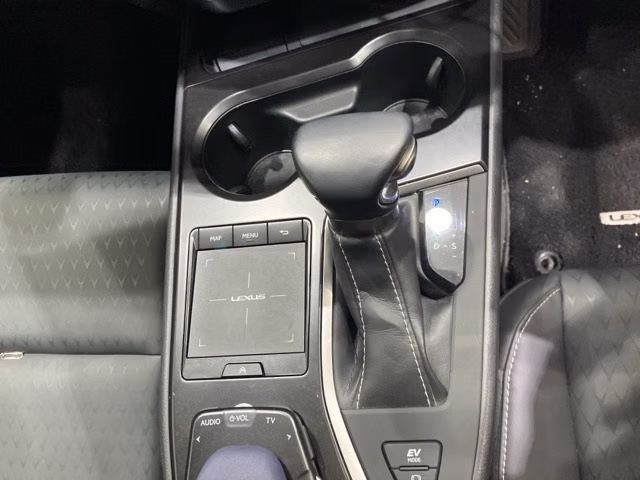 LEXUS UX250H