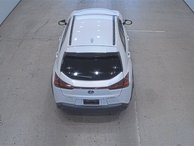 LEXUS UX250H