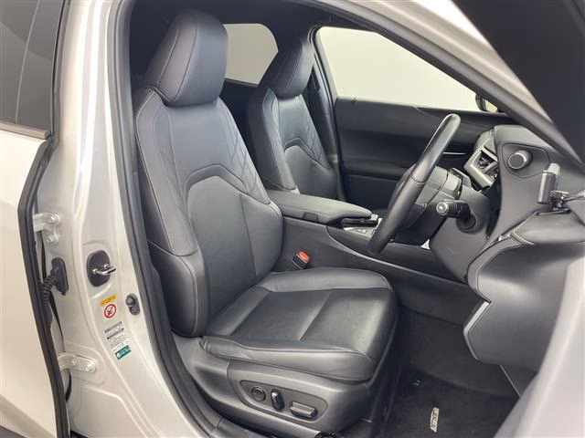 LEXUS UX250H
