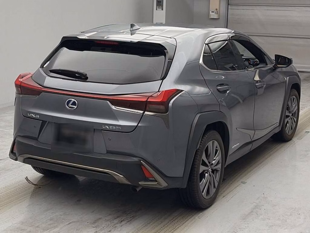 LEXUS UX250H