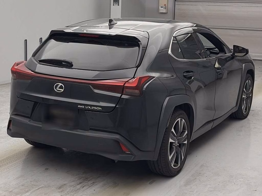 LEXUS UX250H