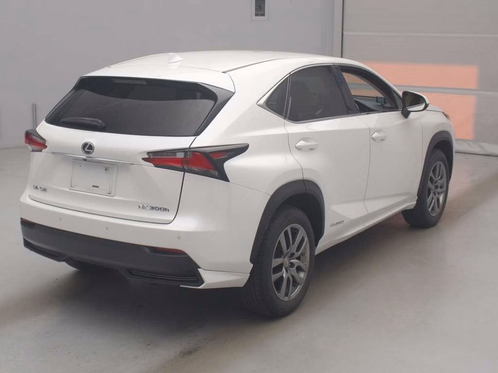 LEXUS NX300