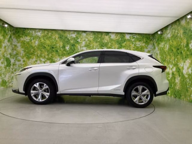 LEXUS NX300