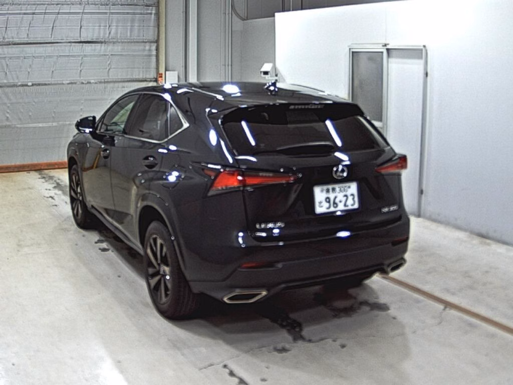 LEXUS NX300