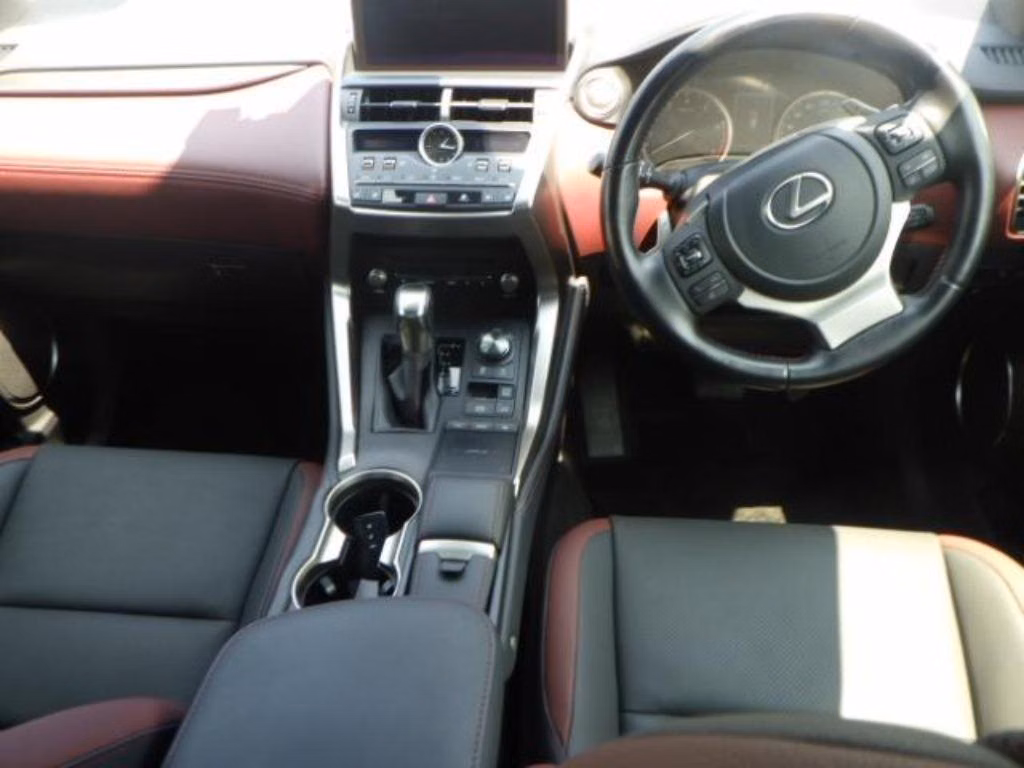 LEXUS NX300