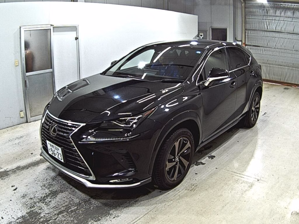 LEXUS NX300