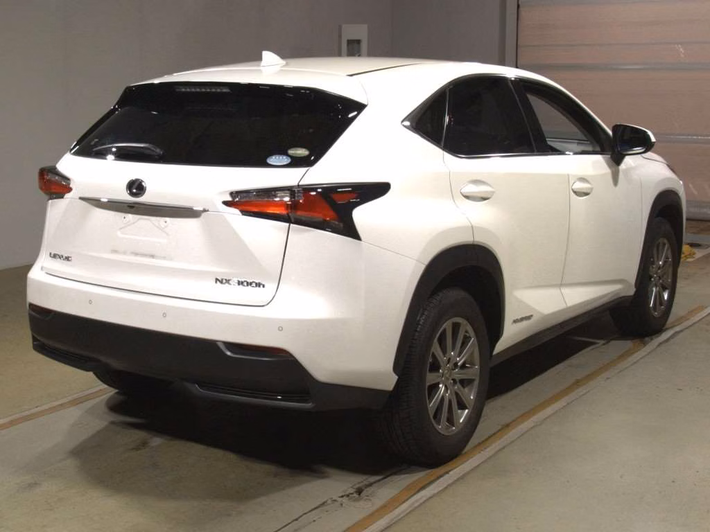 LEXUS NX300H