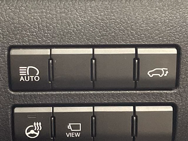 LEXUS NX300H
