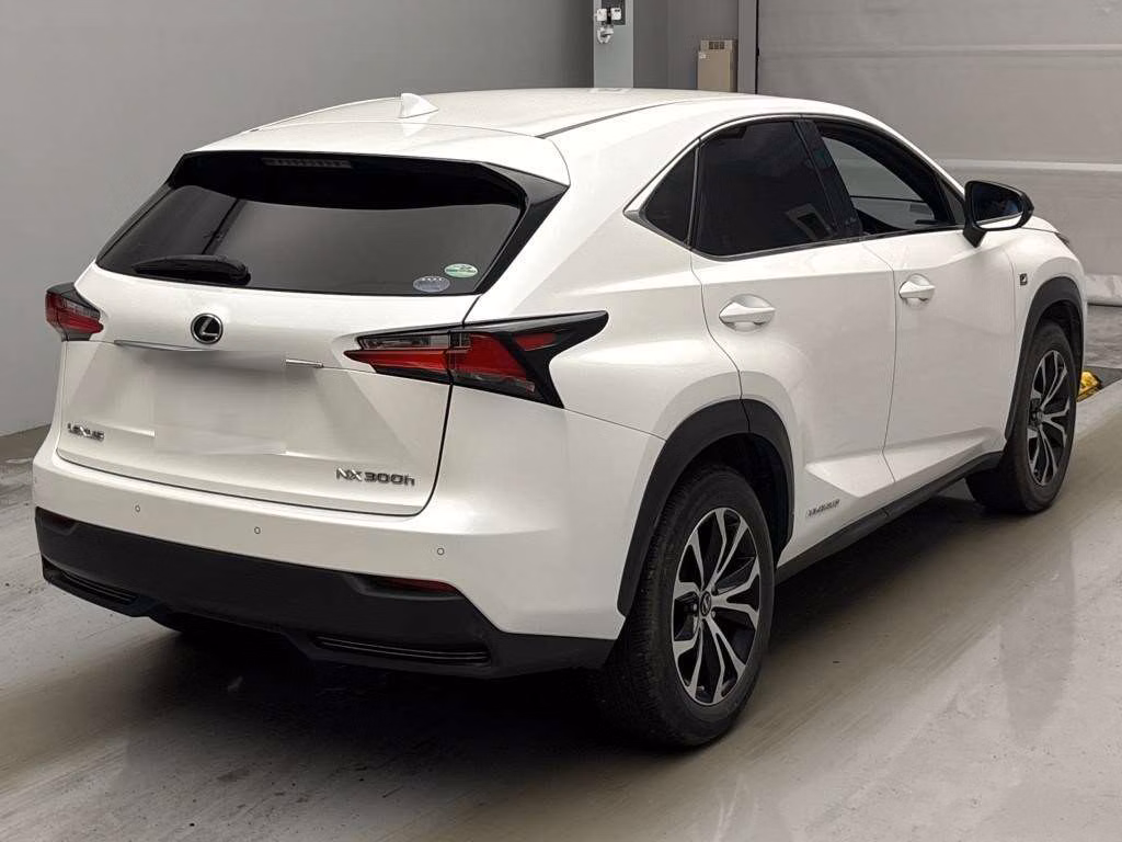 LEXUS NX300