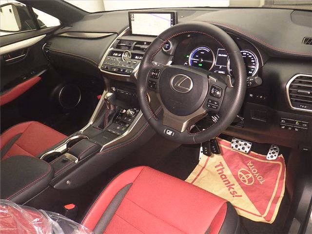 LEXUS NX300H