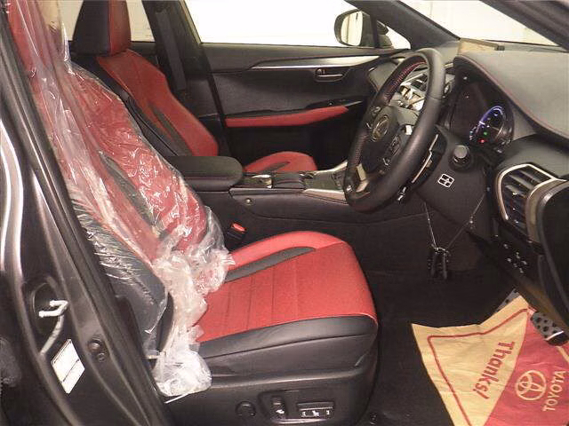LEXUS NX300H