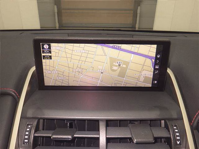 LEXUS NX300H