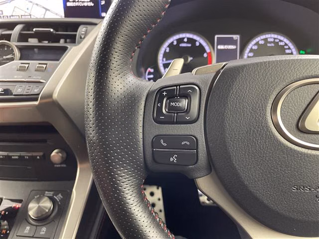 LEXUS NX300