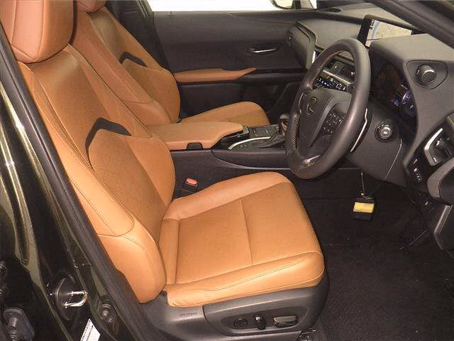 LEXUS UX200