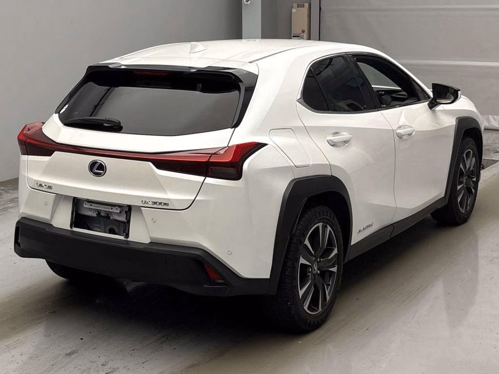 LEXUS UX300E