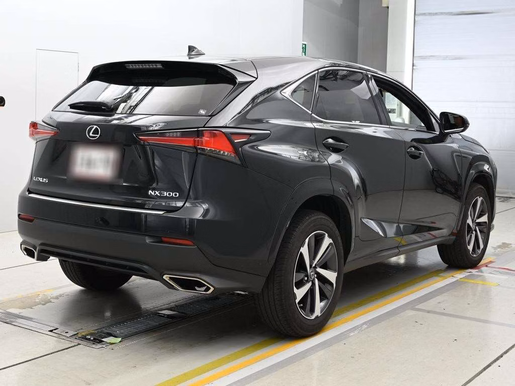 LEXUS NX300